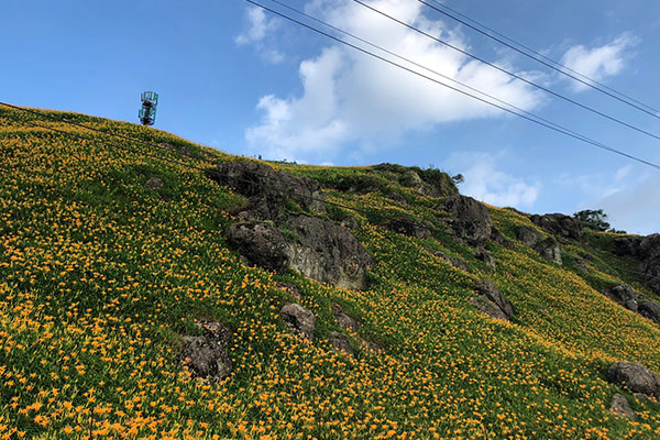 2018 ताइवान इग्निशन सिस्टम कंपनी प्रोत्साहन यात्रा