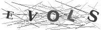 Please refresh your browser to see this image.