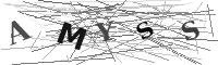 Please refresh your browser to see this image.
