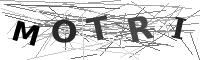 Please refresh your browser to see this image.